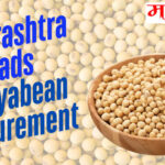 Soybean Procurement